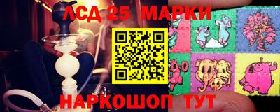 гидропоника Кимры