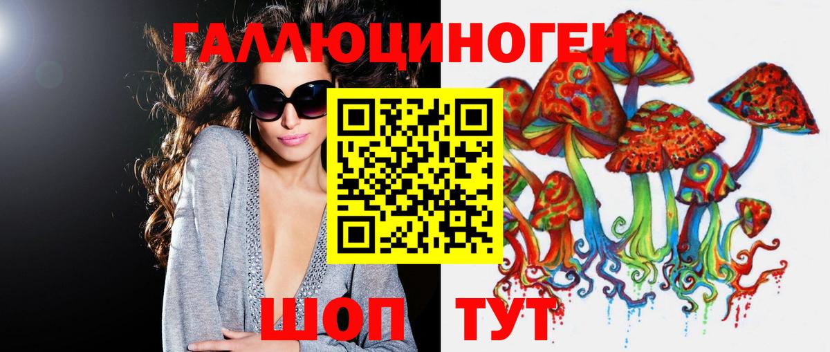 Псилоцибиновые грибы GOLDEN TEACHER Корсаков