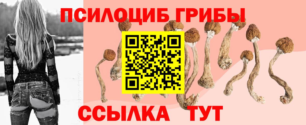 Корсаков  Галлюциногенные грибы GOLDEN TEACHER  Вход с VPN  Галлюциногенные грибы прущие грибы 